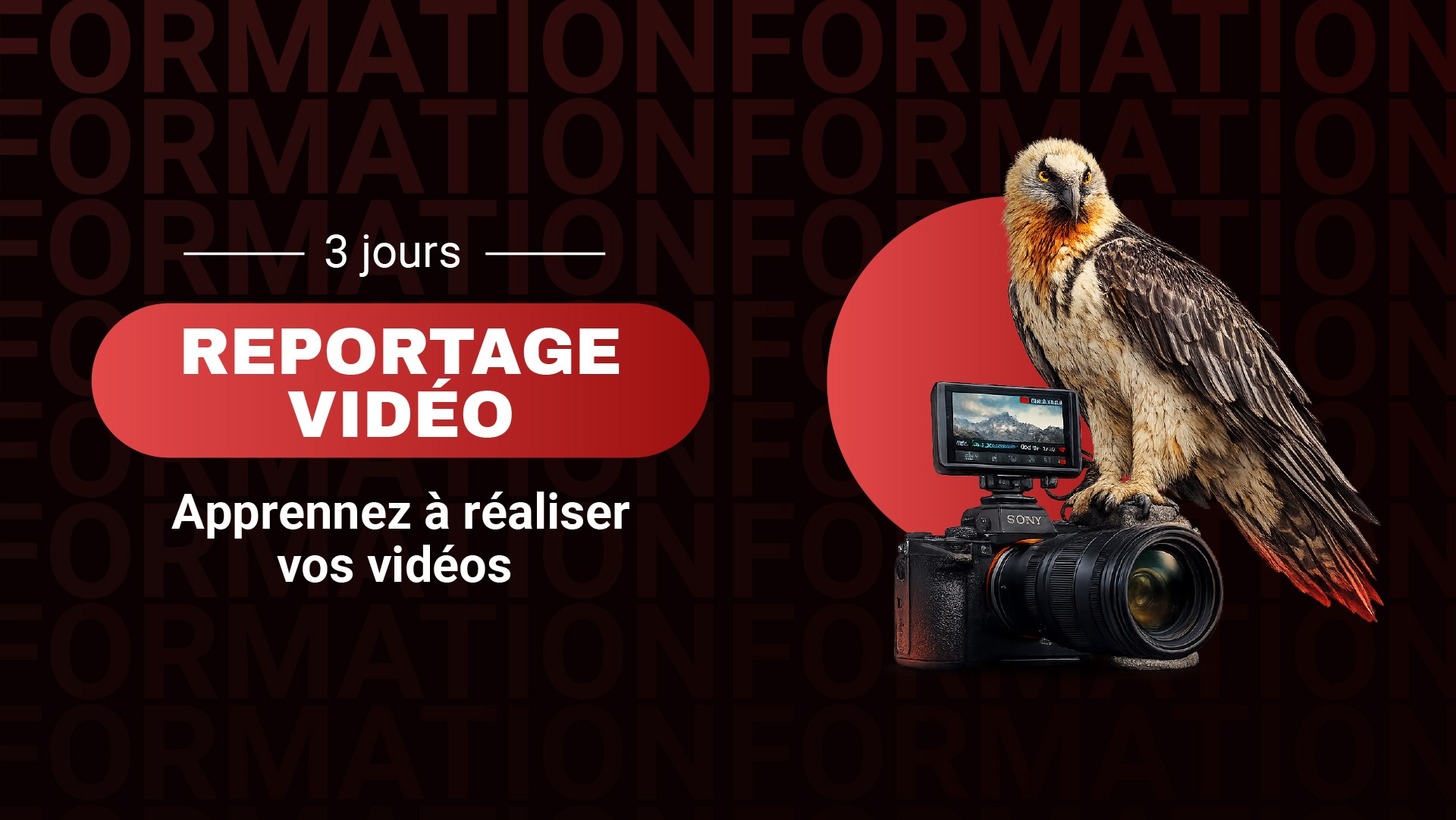 Reportage vidéo_web