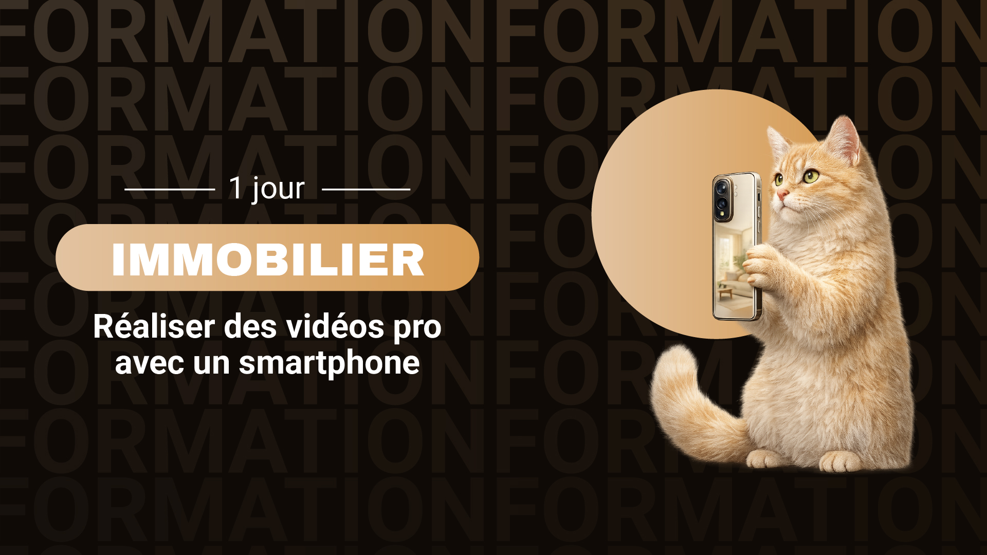 Immobilier 2
