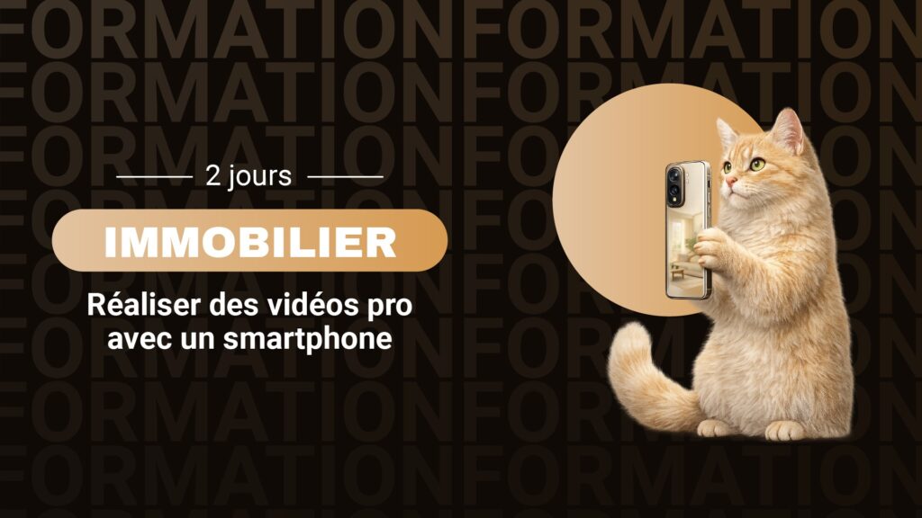 Immobilier_web