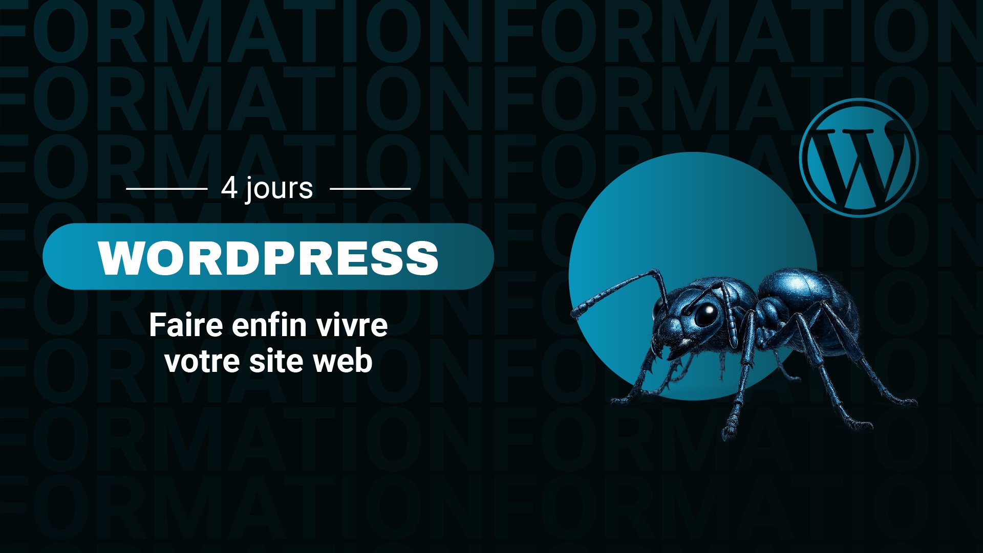 Wordpress_web