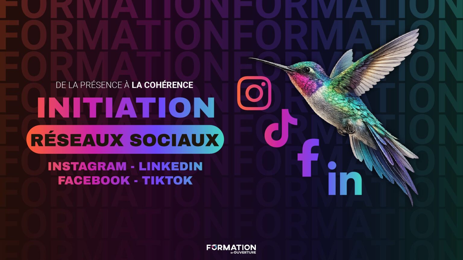 Atelier collectif de formation aux réseaux sociaux pour structurer une stratégie de communication et améliorer l’impact des publications.