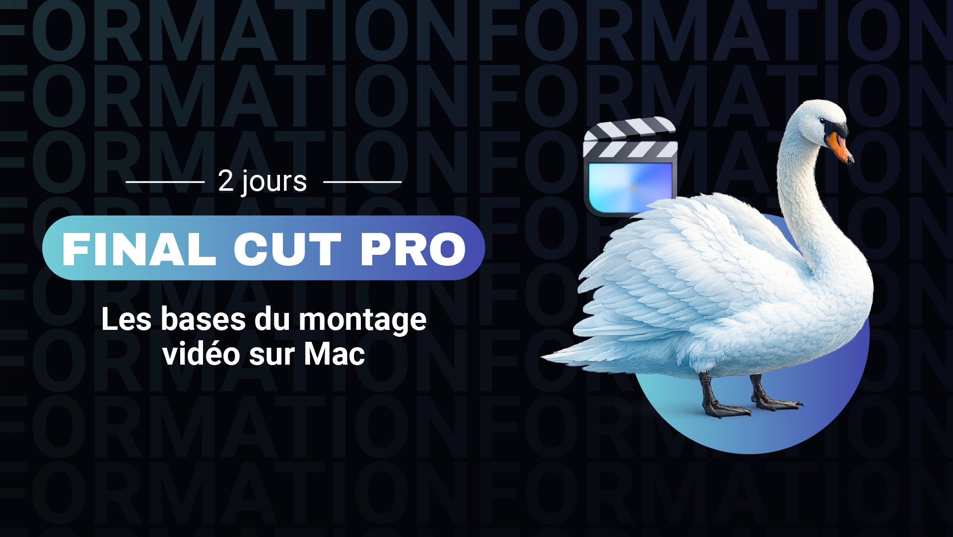 Final Cut Pro_web