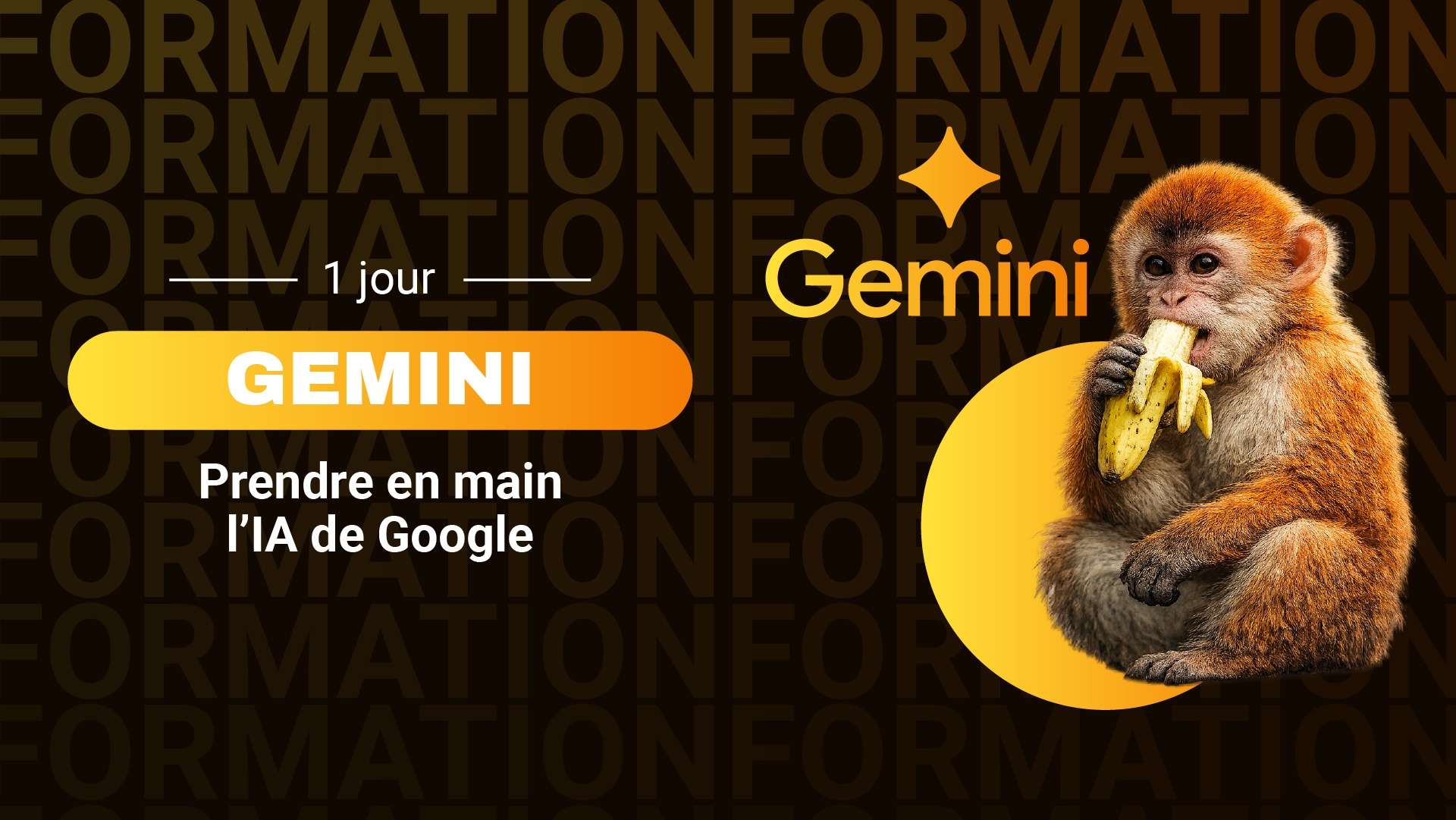 Gemini_web