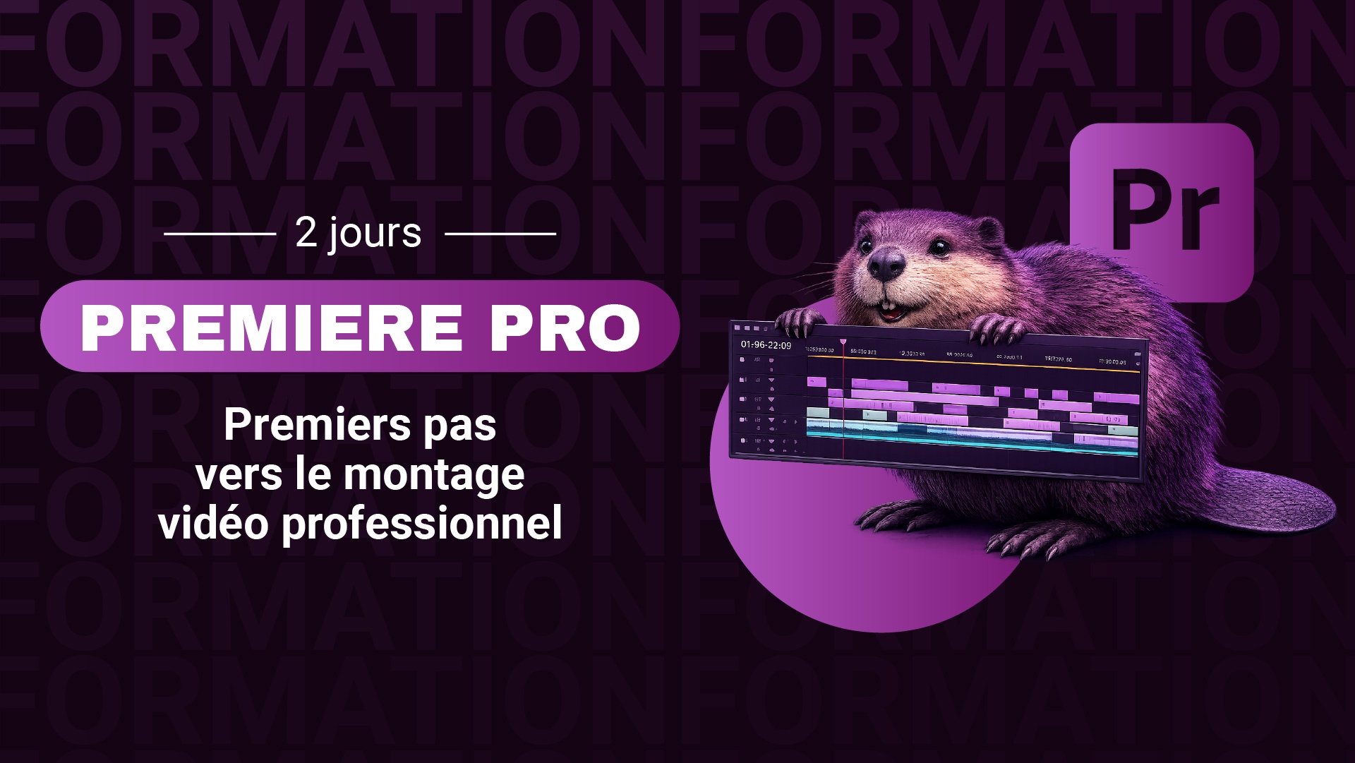 Premiere Pro_web